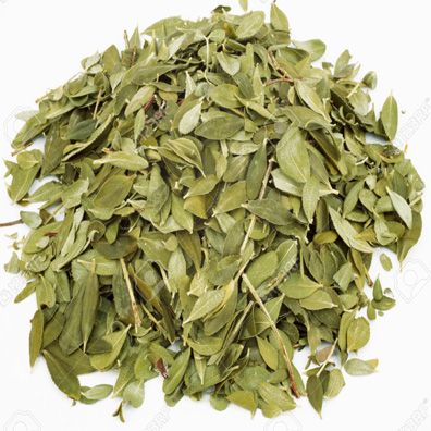 Buchu Leaf (organic)