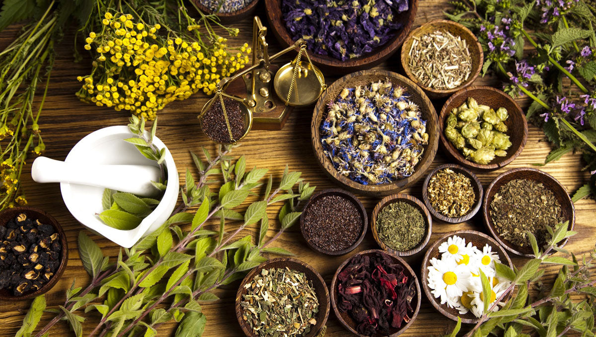 SELF-HEALING HERBAL CONSULTATION (45 minutes)
