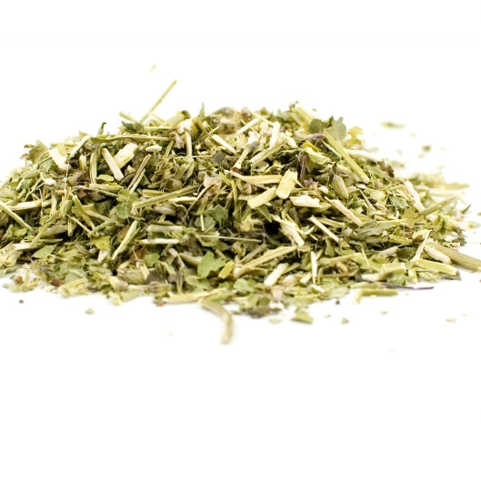 Wood Betony (organic)