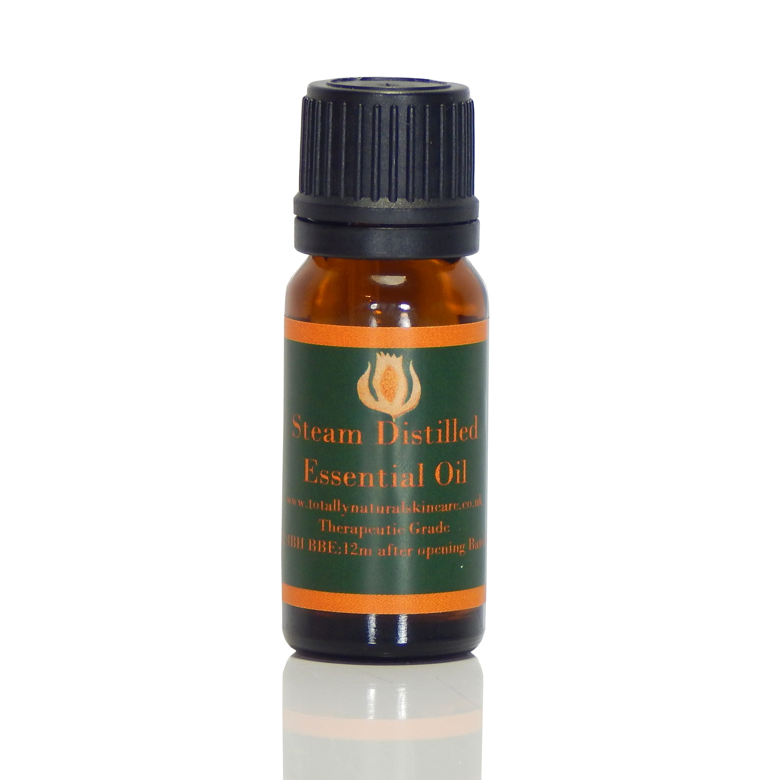 Camphor Essential Oil - Cinnamomum Camphora